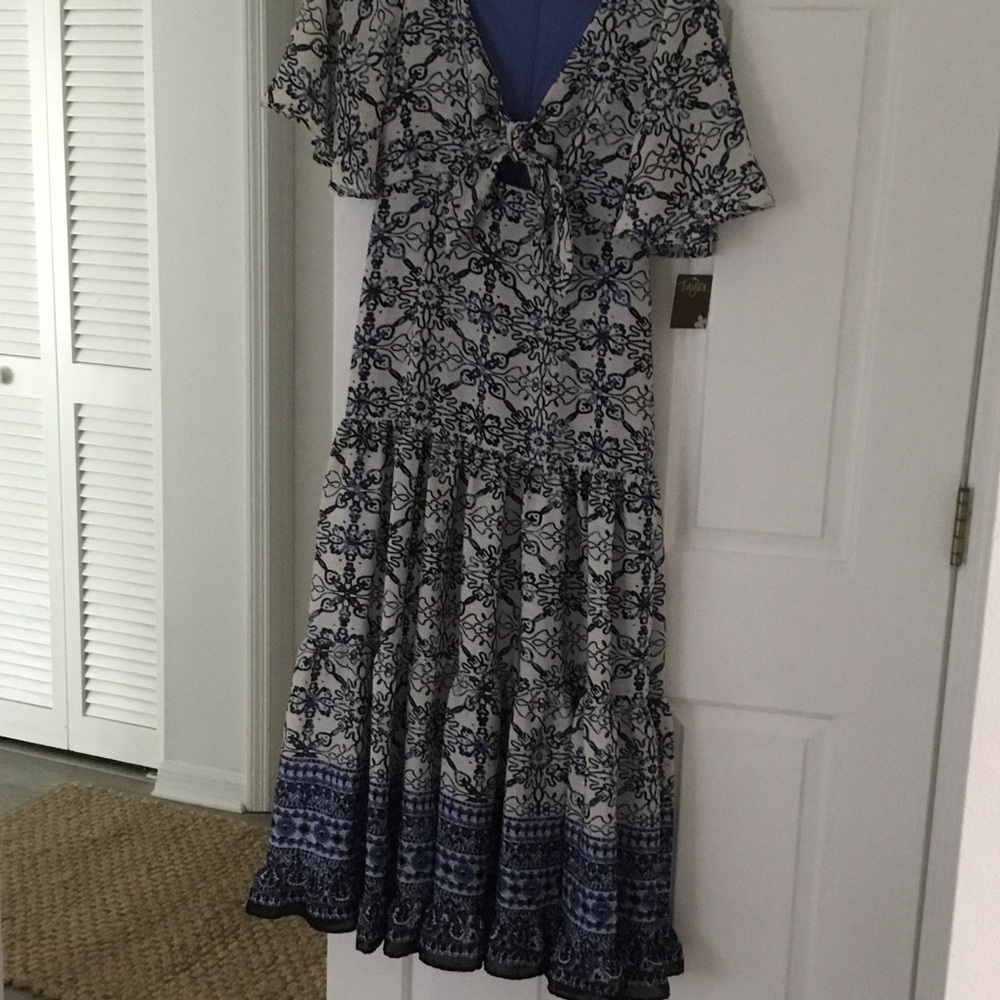 Taylor Blue and White Floral-Print Maxi Dress